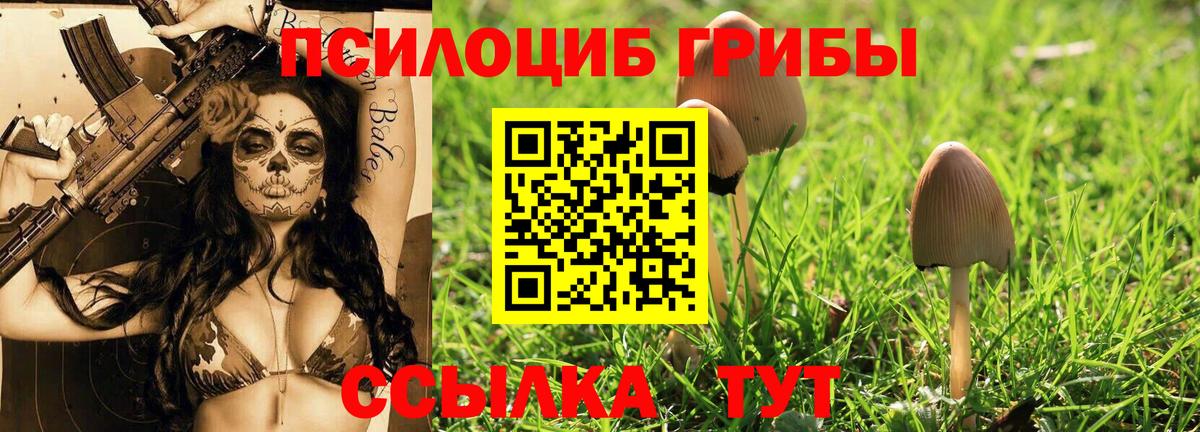 Галлюциногенные грибы GOLDEN TEACHER  Галлюциногенные грибы мухоморы  Вход с VPN  Трёхгорный 